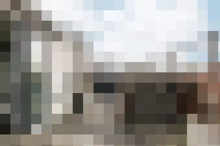 Raadhuisstraat 20 Haarlem thumbnail 8