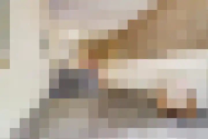 Raadhuisstraat 20 Nijmegen thumbnail 4