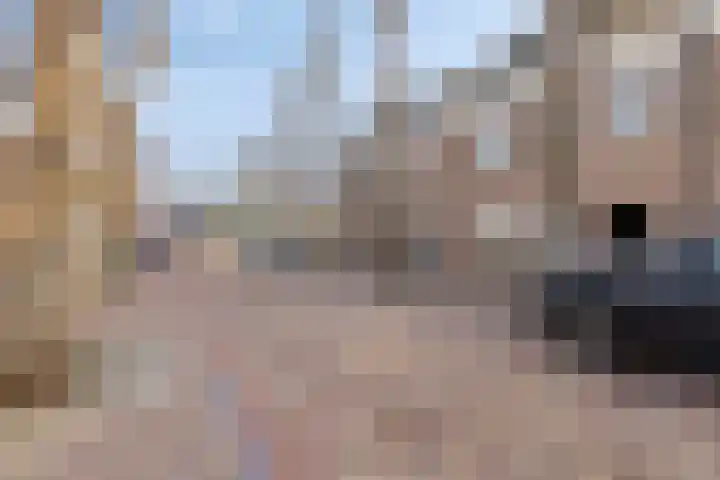 Raadhuisstraat 21 Bergambacht thumbnail 4