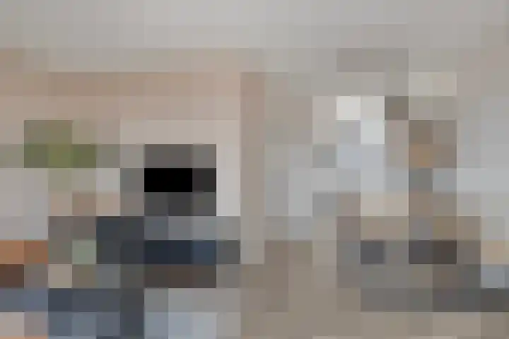 Raadhuisstraat 21 Bergambacht thumbnail 8