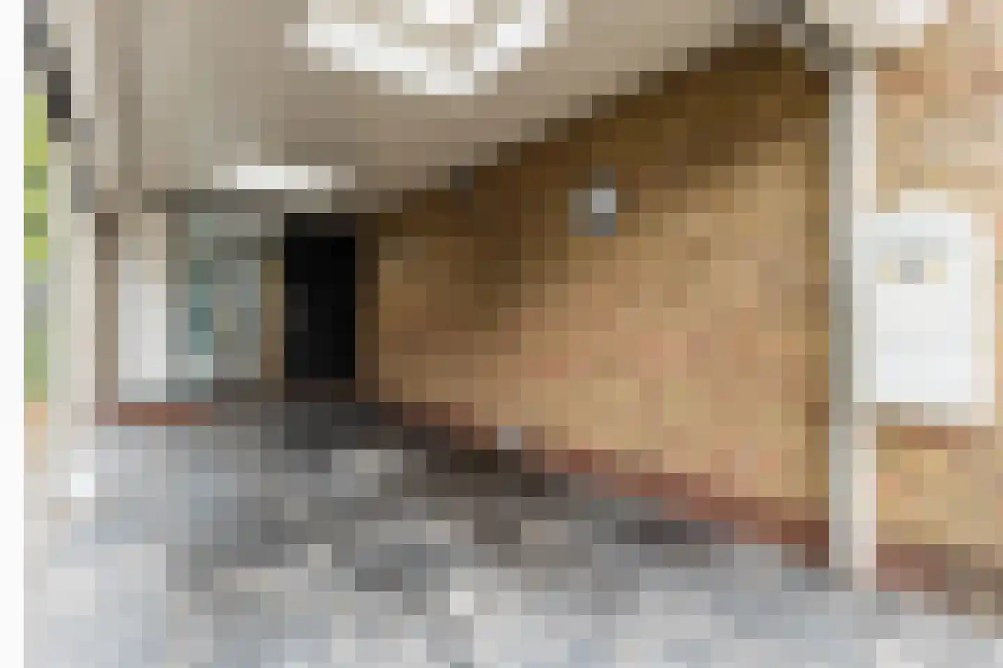 Raadhuisstraat 21 Koog aan de Zaan thumbnail 10