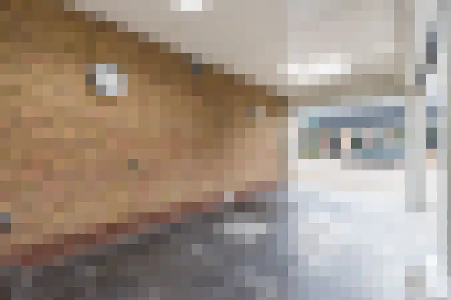 Raadhuisstraat 21 Koog aan de Zaan thumbnail 11