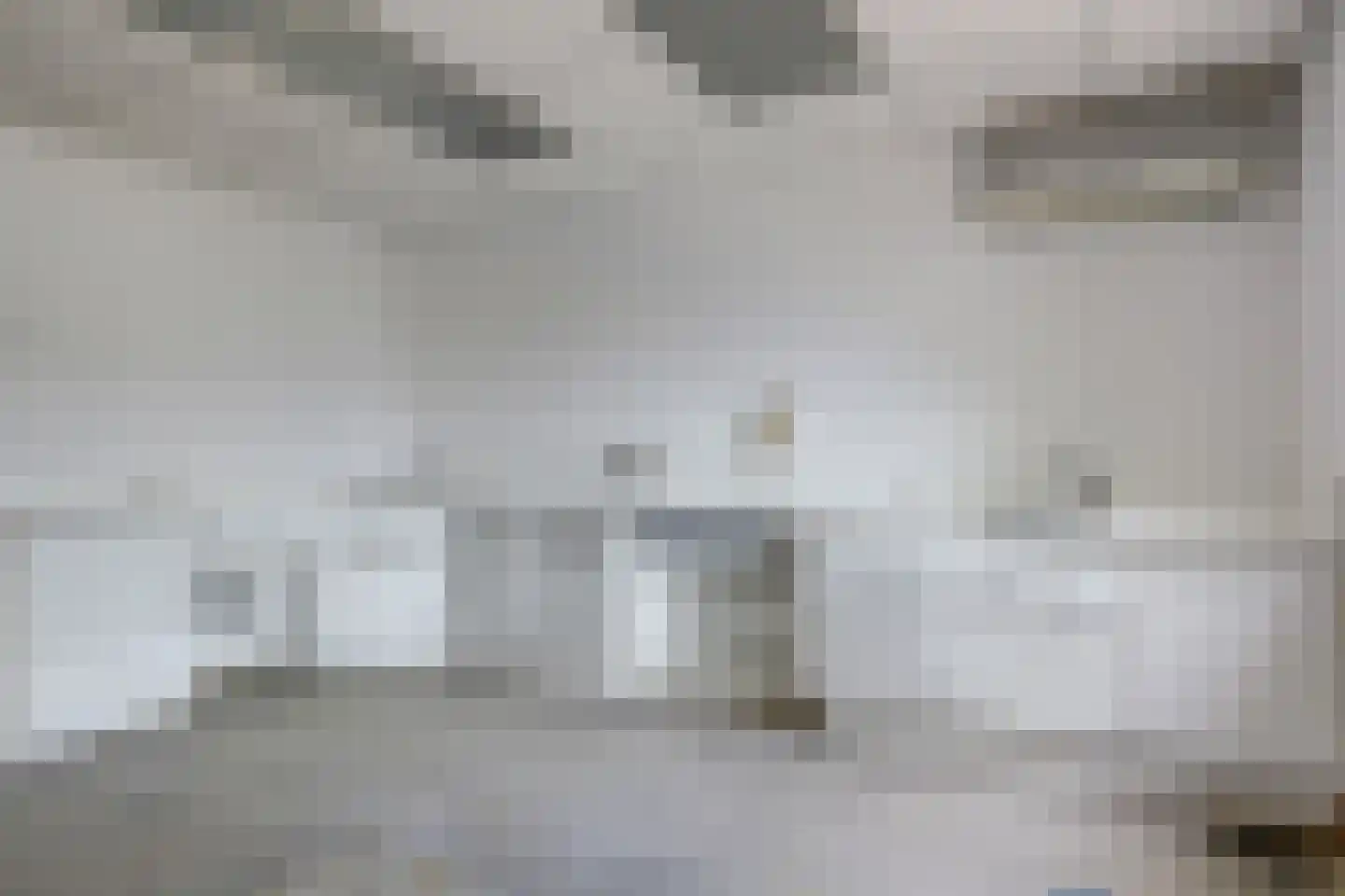 Raadhuisstraat 21 Koog aan de Zaan thumbnail 13