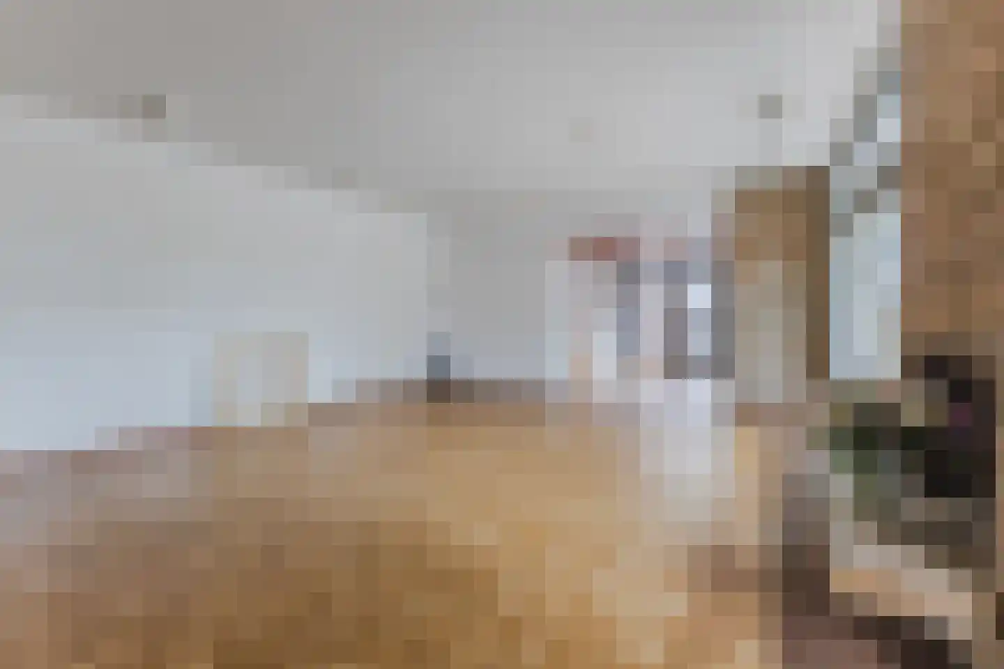 Raadhuisstraat 21 Koog aan de Zaan thumbnail 16