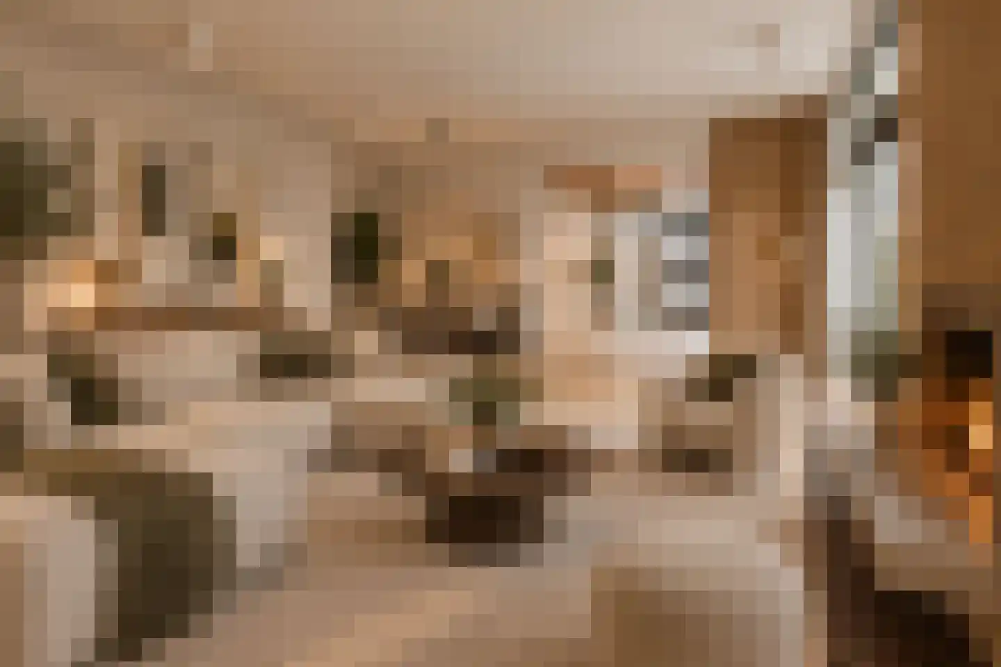 Raadhuisstraat 21 Koog aan de Zaan thumbnail 17