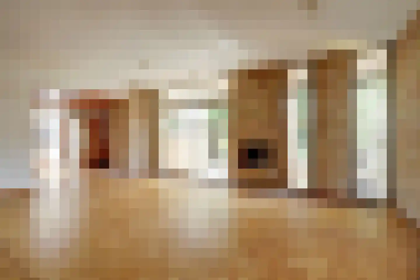 Raadhuisstraat 21 Koog aan de Zaan thumbnail 19
