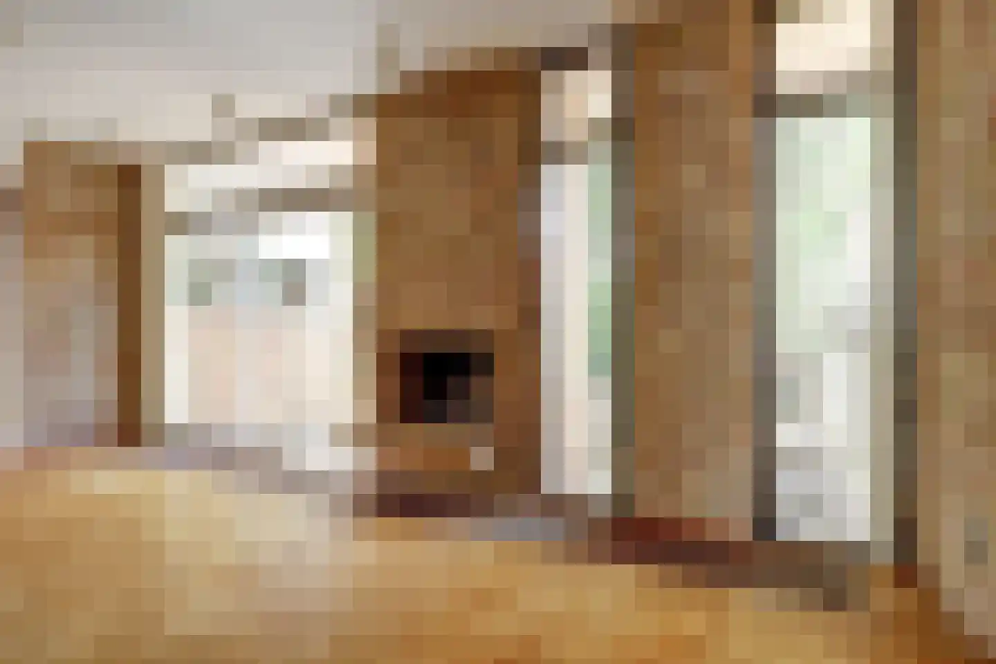 Raadhuisstraat 21 Koog aan de Zaan thumbnail 24