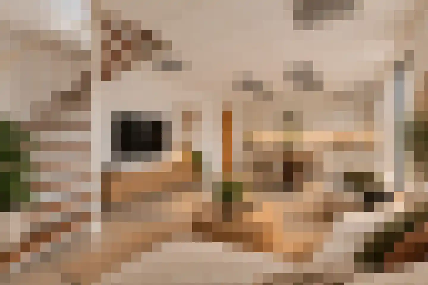 Raadhuisstraat 21 Koog aan de Zaan thumbnail 25