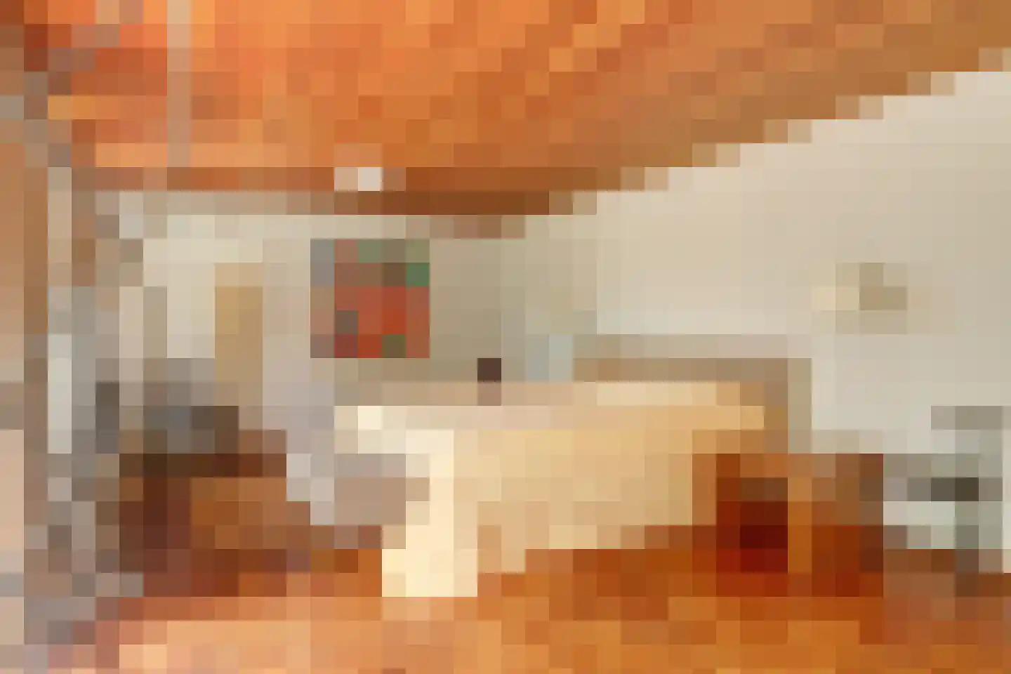 Raadhuisstraat 21 Koog aan de Zaan thumbnail 28