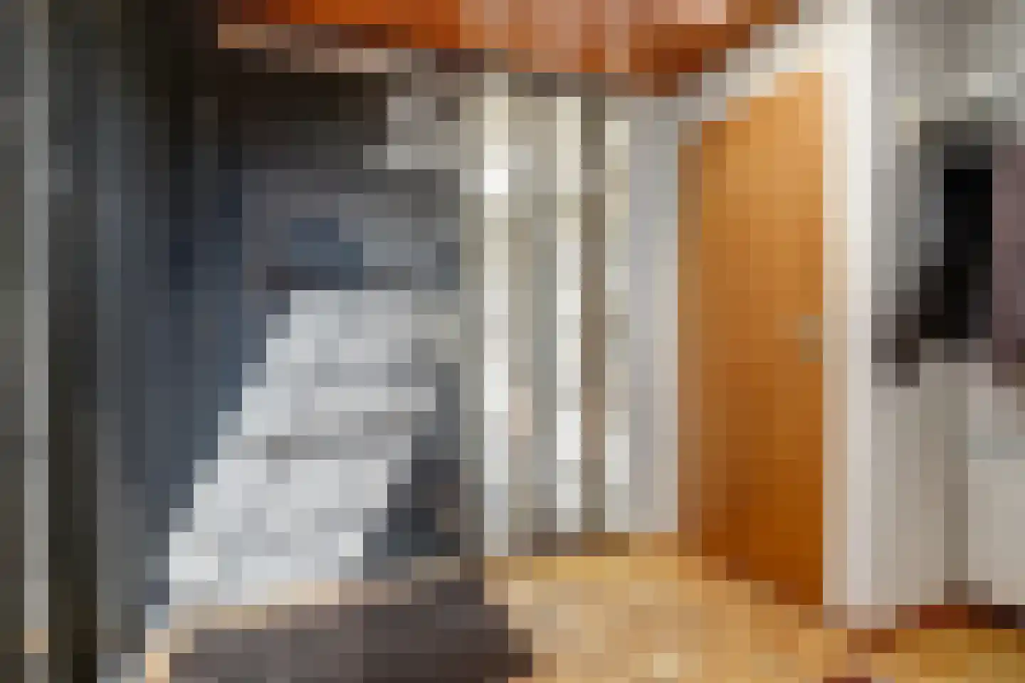 Raadhuisstraat 21 Koog aan de Zaan thumbnail 34