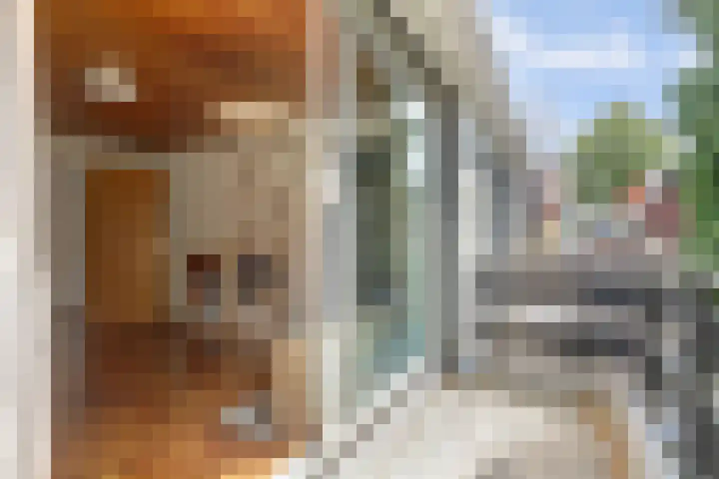 Raadhuisstraat 21 Koog aan de Zaan thumbnail 35
