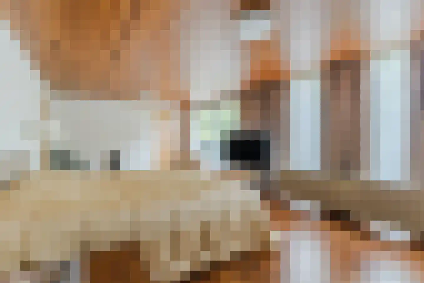 Raadhuisstraat 21 Koog aan de Zaan thumbnail 36