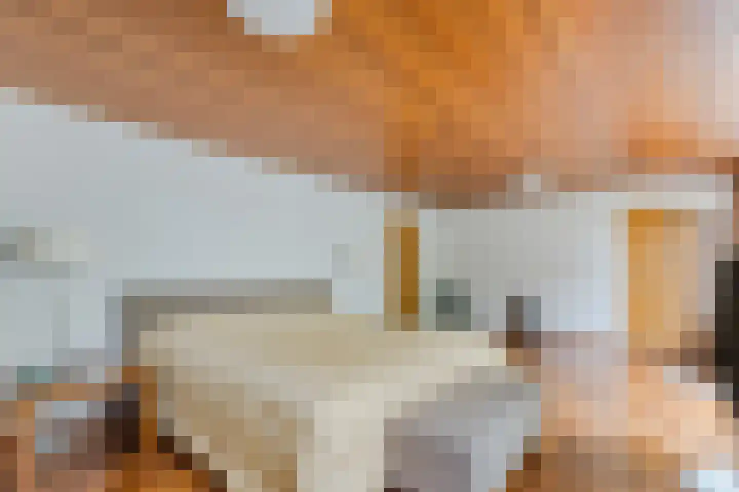 Raadhuisstraat 21 Koog aan de Zaan thumbnail 37