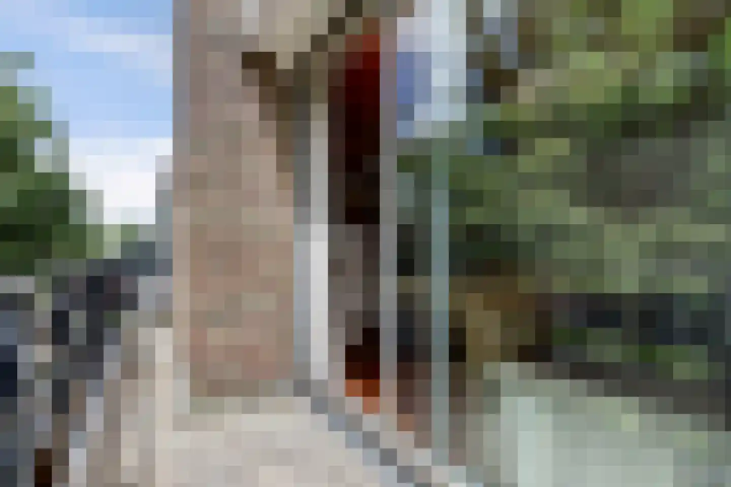Raadhuisstraat 21 Koog aan de Zaan thumbnail 38