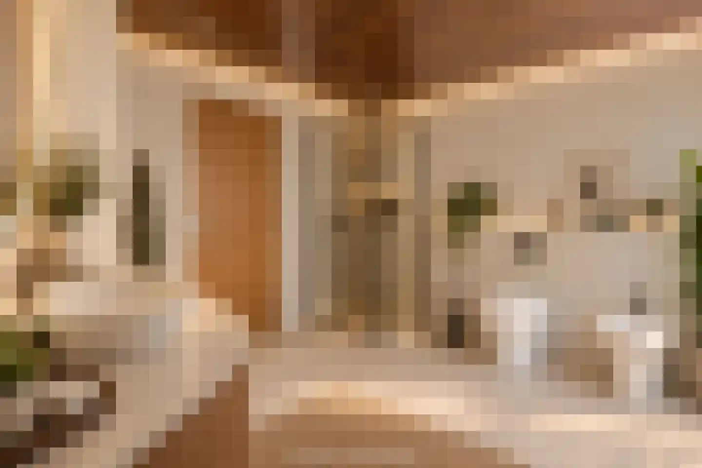 Raadhuisstraat 21 Koog aan de Zaan thumbnail 40