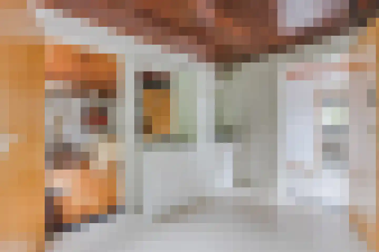 Raadhuisstraat 21 Koog aan de Zaan thumbnail 41