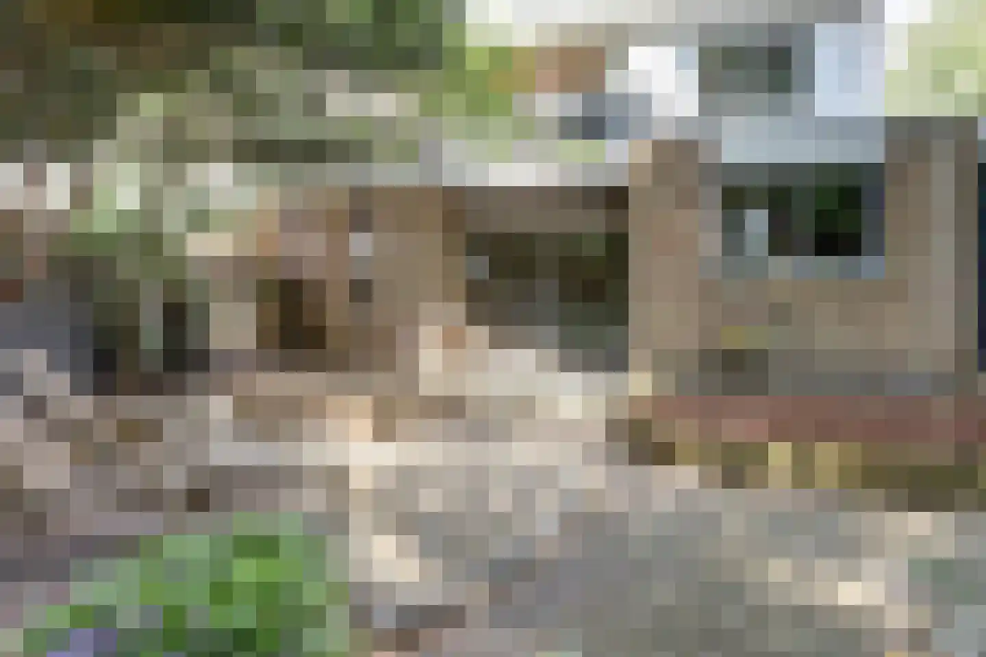 Raadhuisstraat 21 Koog aan de Zaan thumbnail 42
