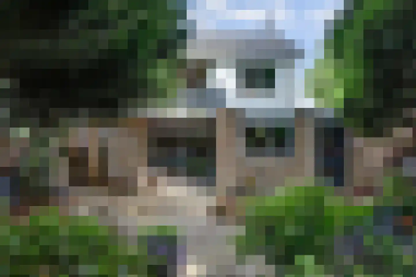 Raadhuisstraat 21 Koog aan de Zaan thumbnail 43