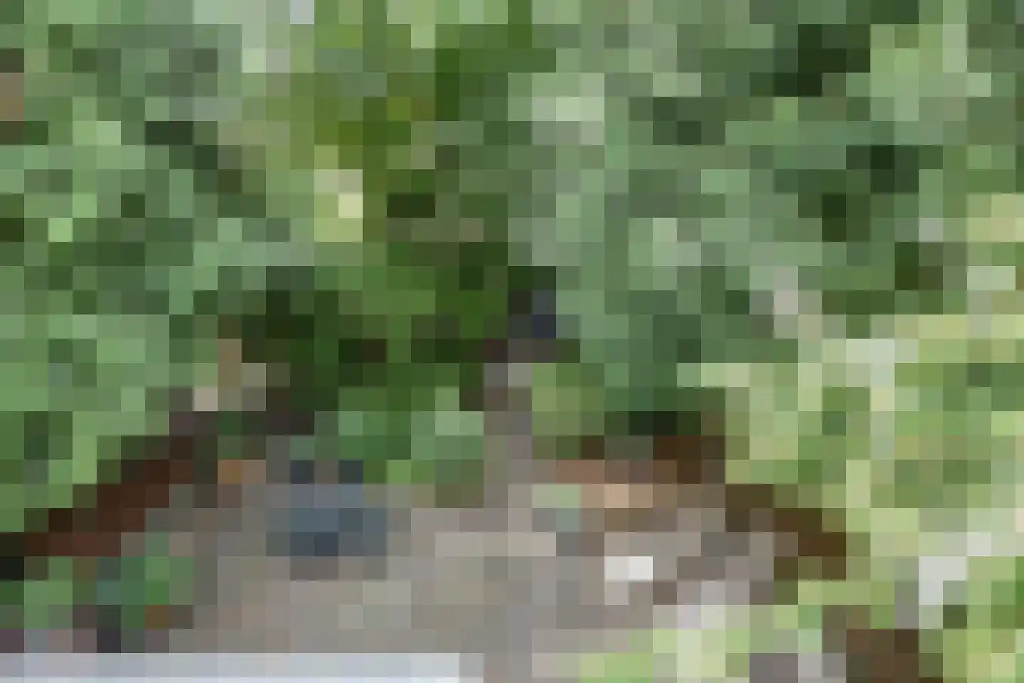 Raadhuisstraat 21 Koog aan de Zaan thumbnail 44