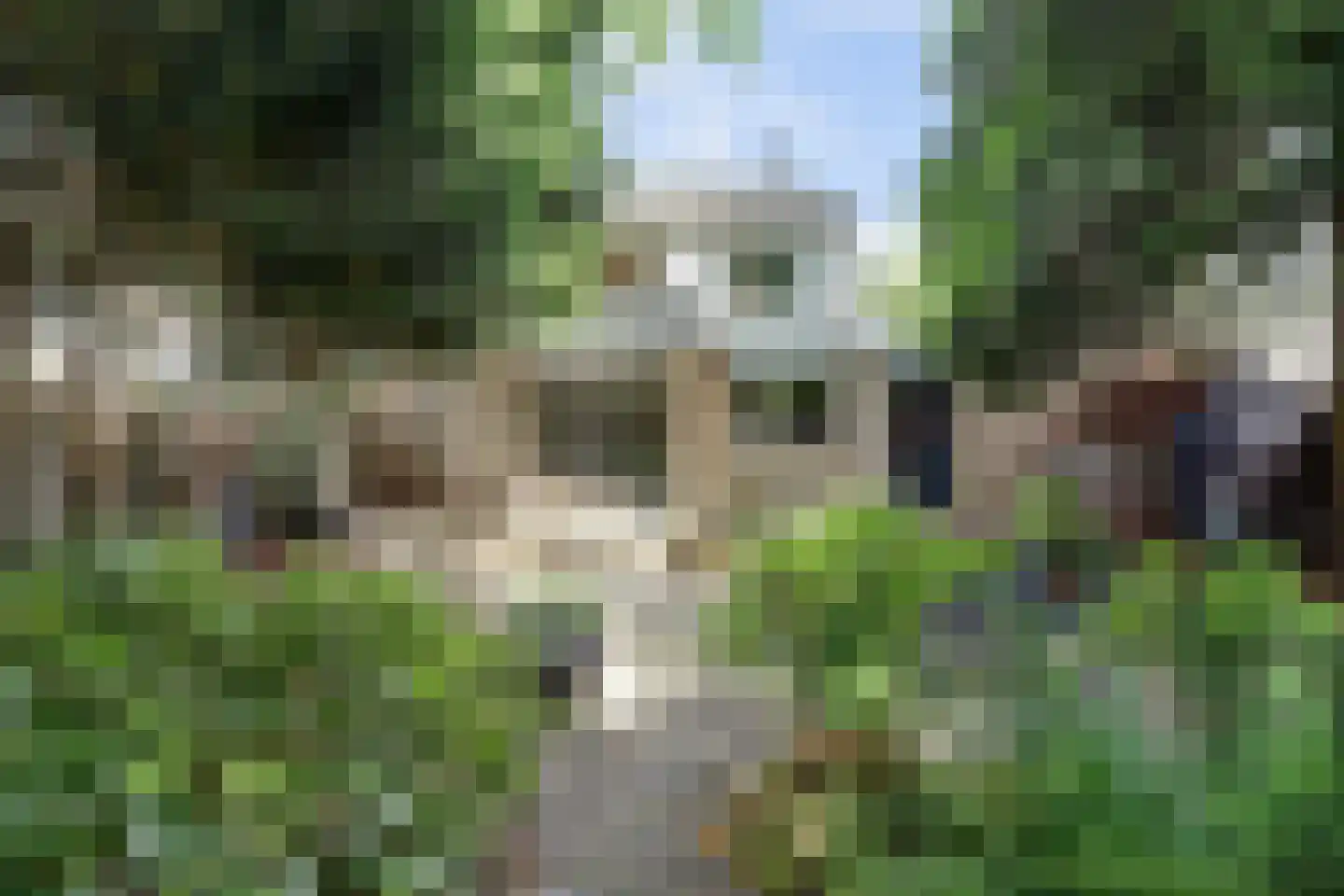 Raadhuisstraat 21 Koog aan de Zaan thumbnail 45