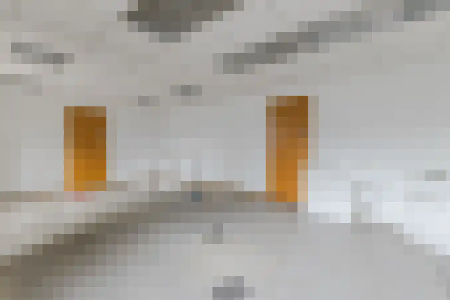 Raadhuisstraat 21 Koog aan de Zaan thumbnail 47