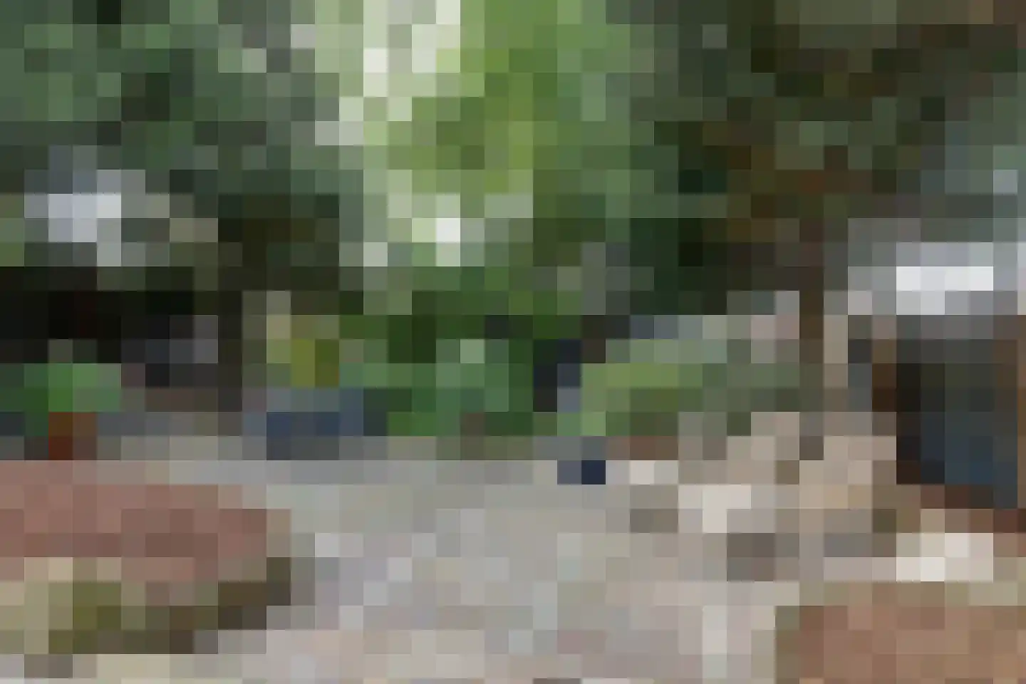 Raadhuisstraat 21 Koog aan de Zaan thumbnail 47