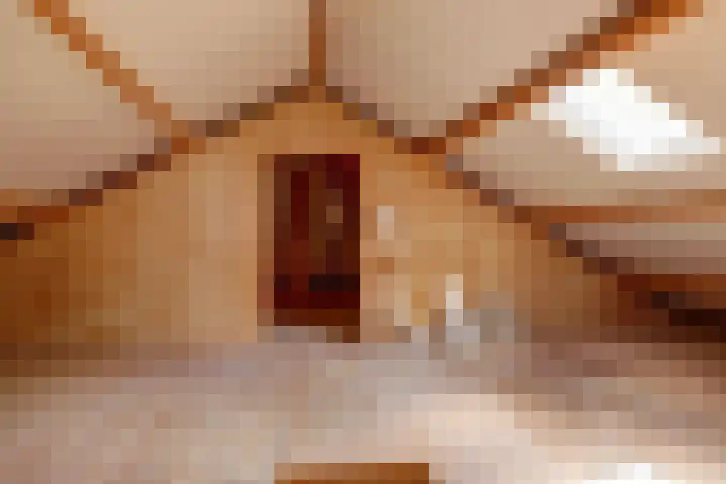 Raadhuisstraat 21 Koog aan de Zaan thumbnail 50