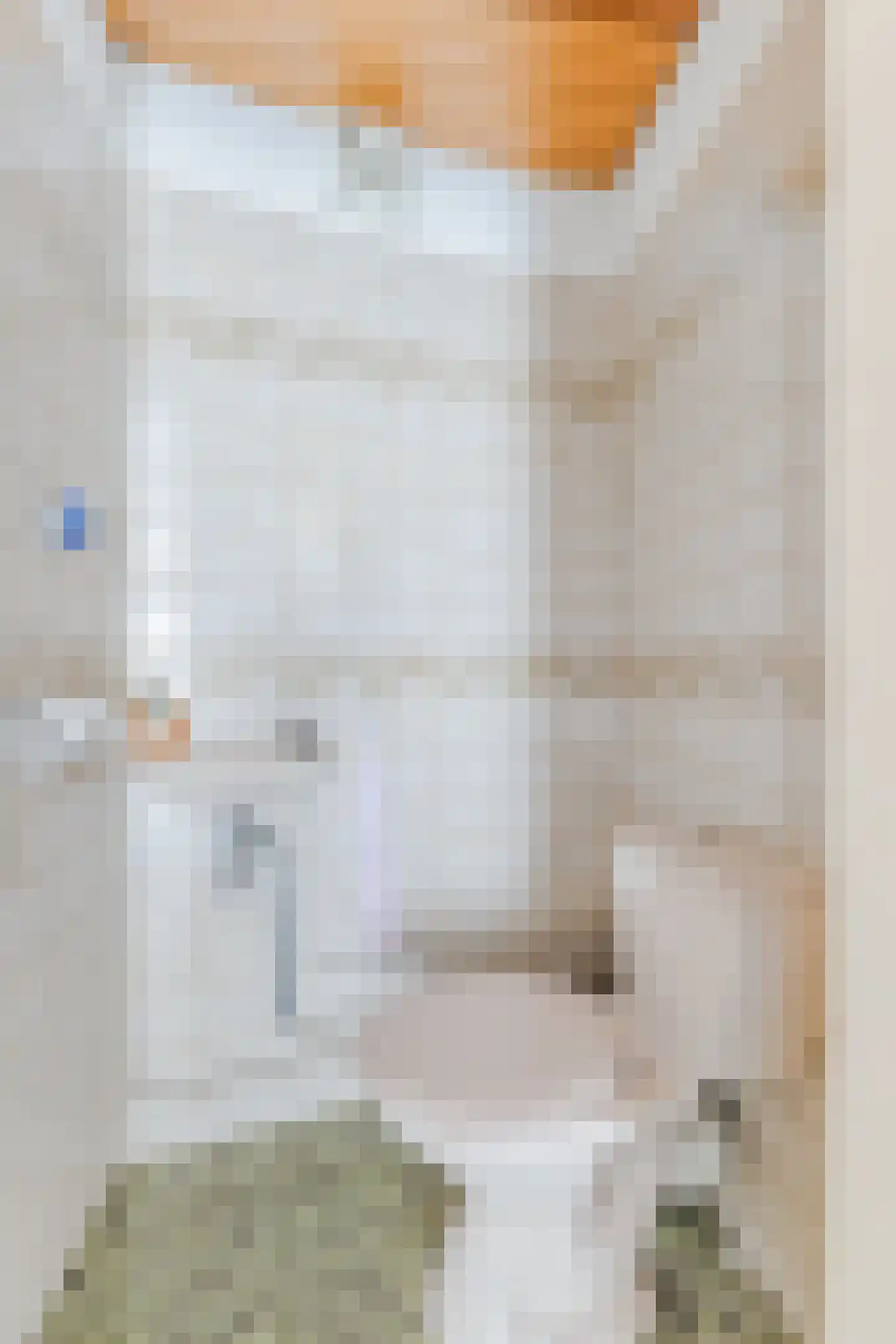 Raadhuisstraat 21 Koog aan de Zaan thumbnail 53