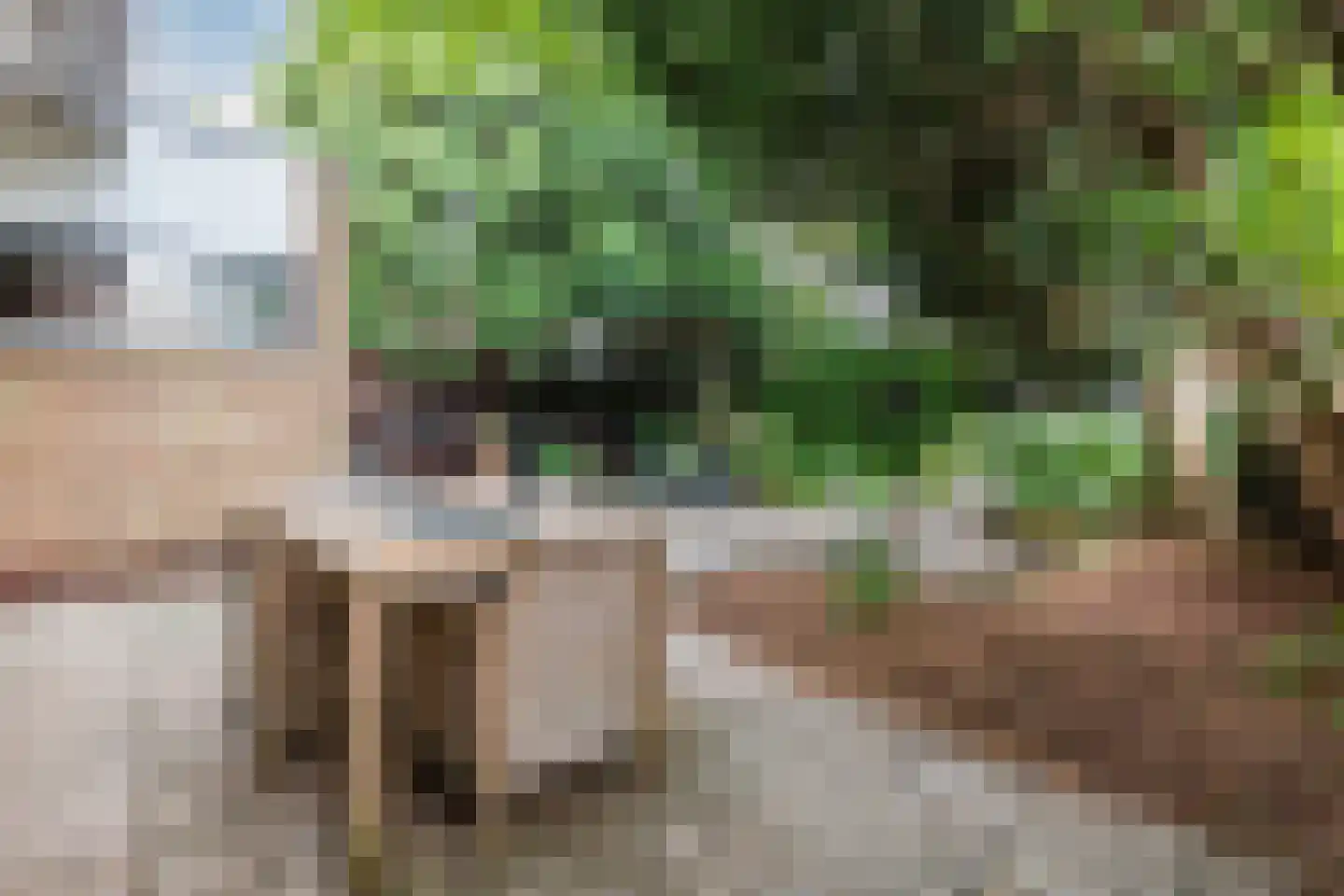 Raadhuisstraat 21 Koog aan de Zaan thumbnail 61