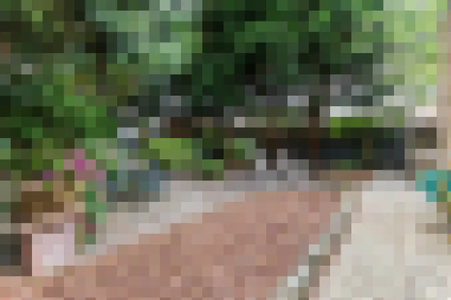 Raadhuisstraat 21 Koog aan de Zaan thumbnail 64