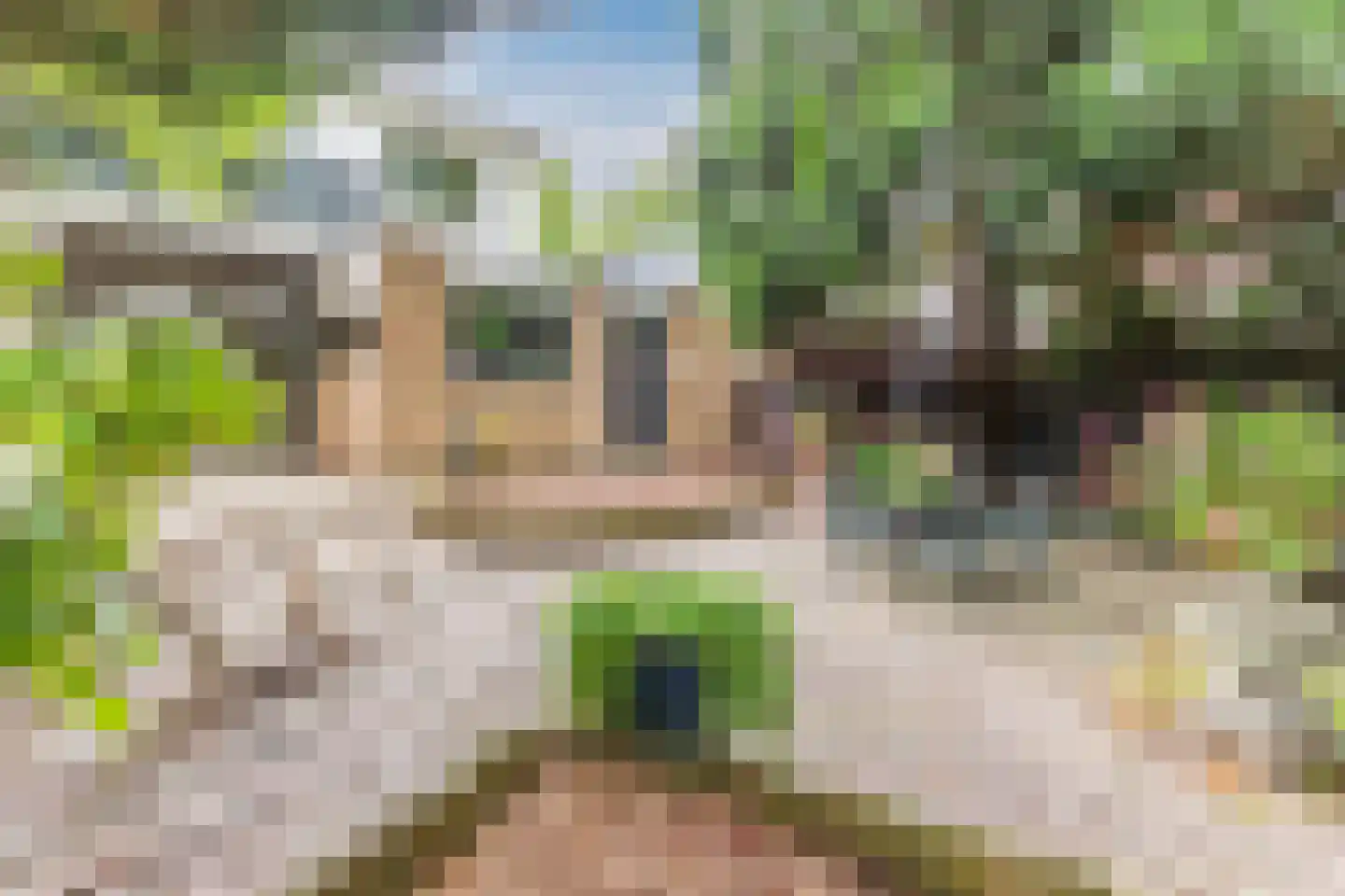 Raadhuisstraat 21 Koog aan de Zaan thumbnail 65