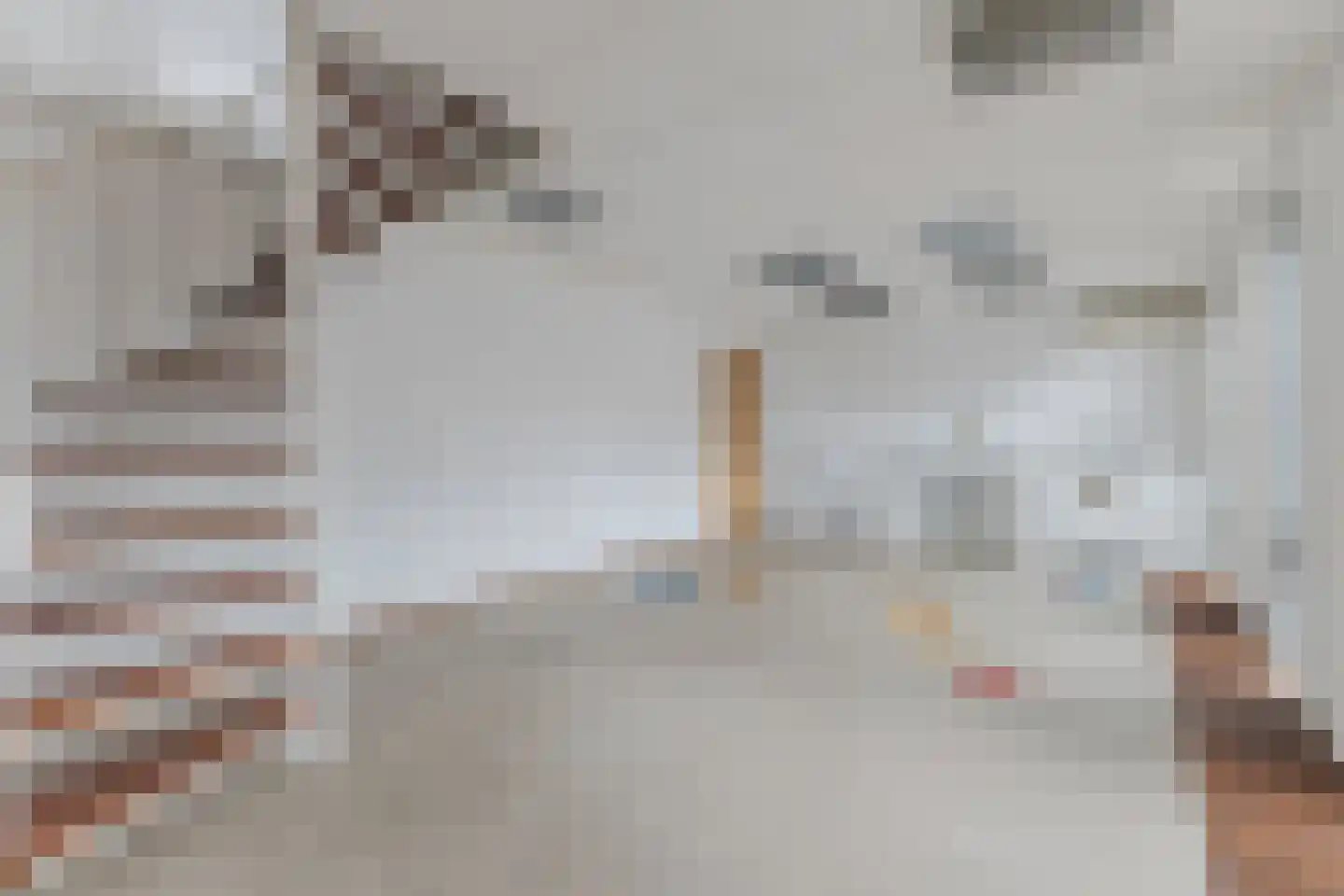 Raadhuisstraat 21 Koog aan de Zaan thumbnail 7