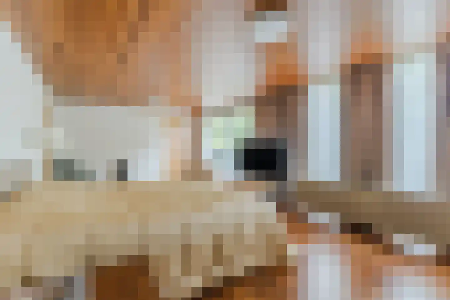 Raadhuisstraat 21 Koog aan de Zaan thumbnail 8