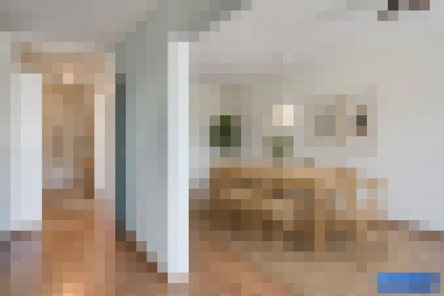 Raadhuisstraat 22 Deurne thumbnail 19