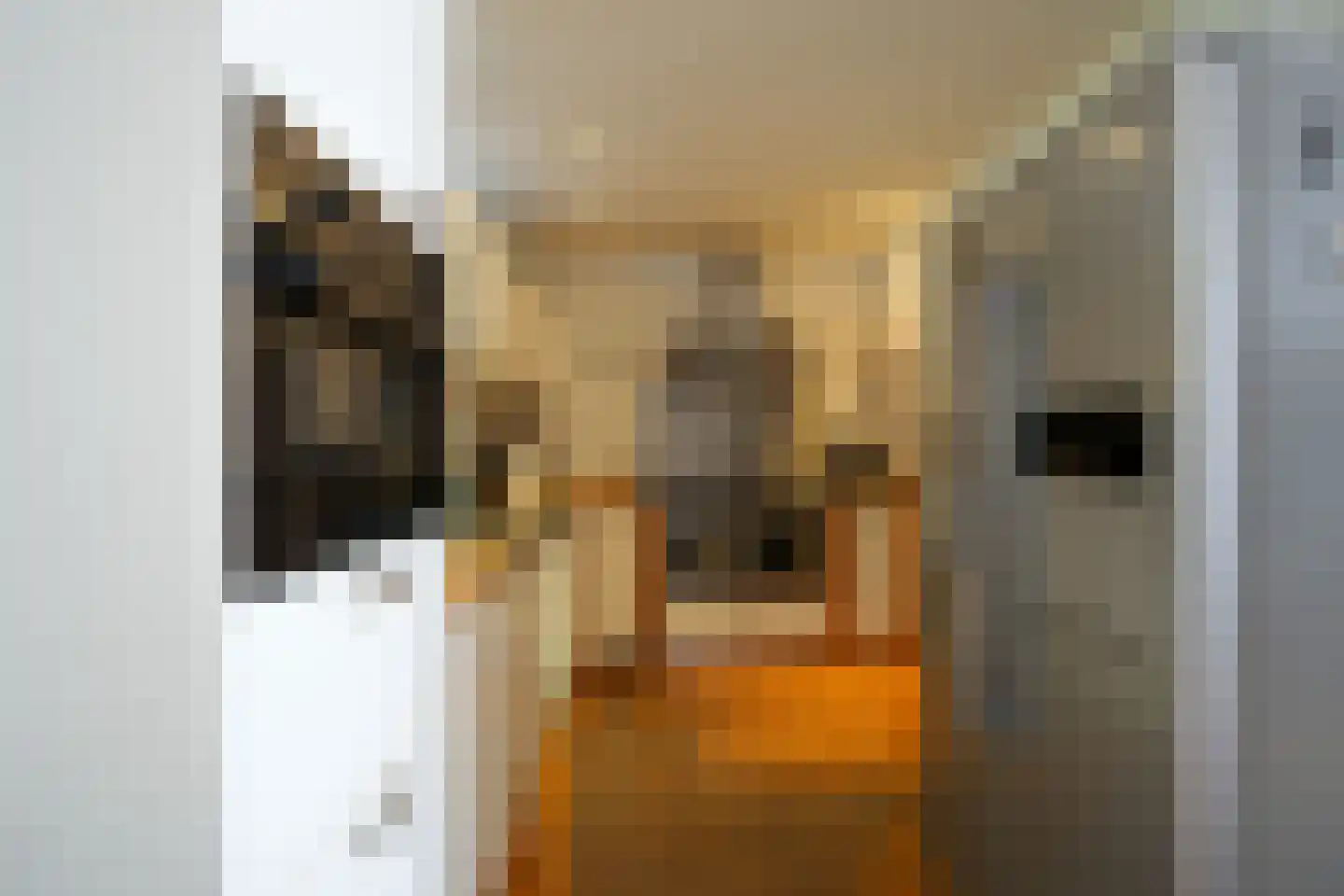 Raadhuisstraat 22 Hulsberg thumbnail 12