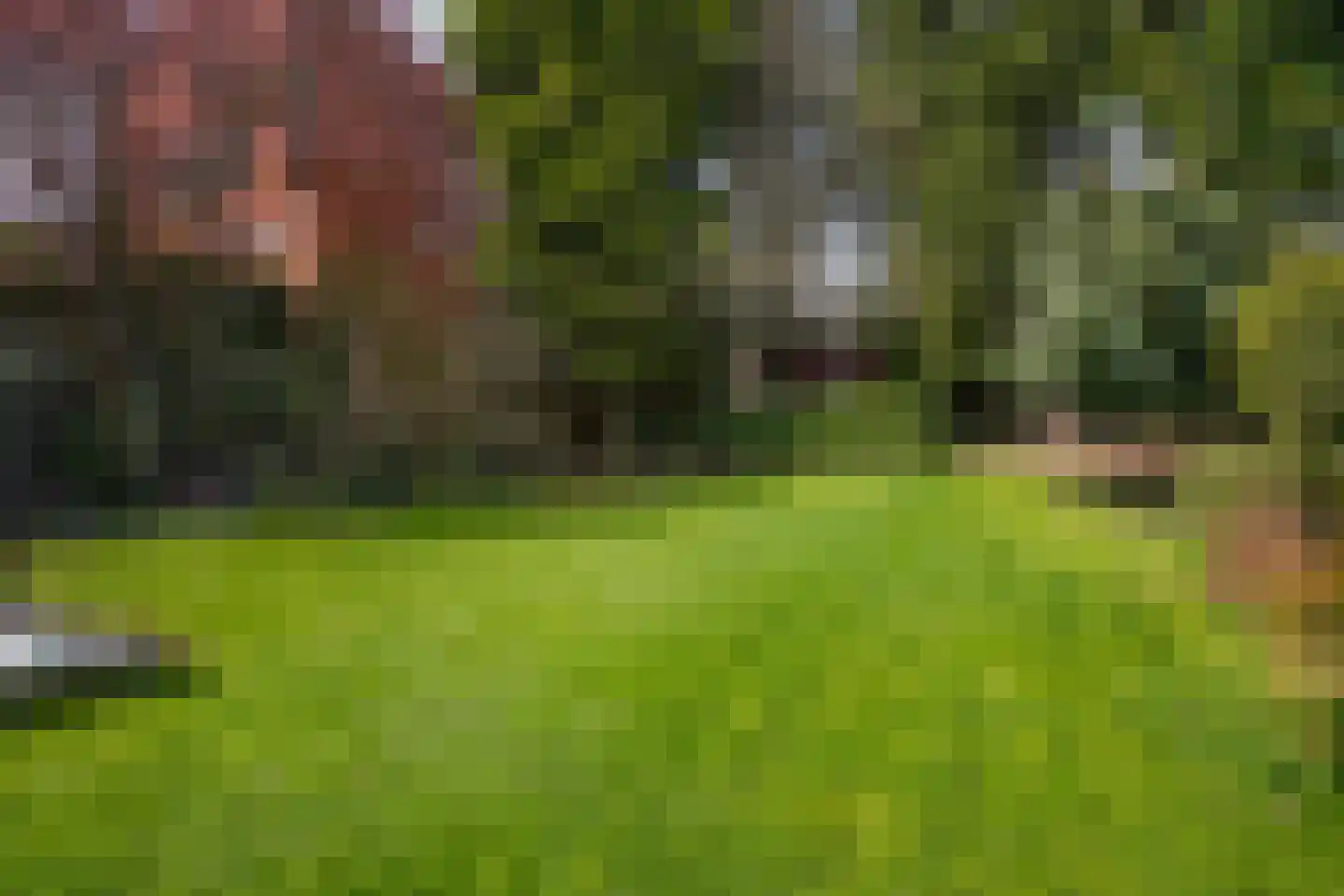 Raadhuisstraat 22 Hulsberg thumbnail 29