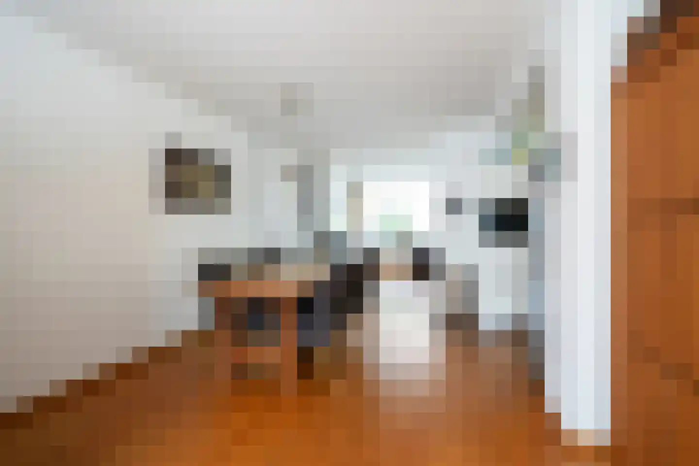Raadhuisstraat 22 Hulsberg thumbnail 9