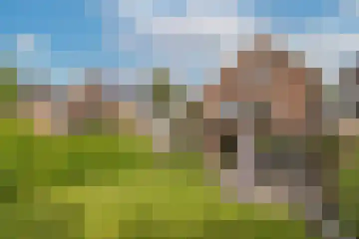 Raadhuisstraat 22 Nigtevecht thumbnail 22