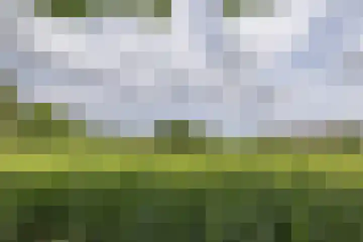 Raadhuisstraat 22 Nigtevecht thumbnail 7