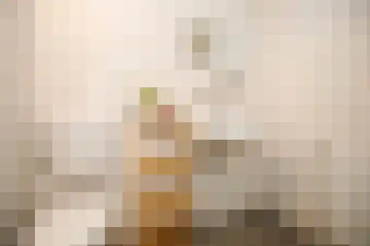 Raadhuisstraat 23 Bergambacht thumbnail 20