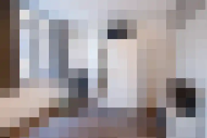 Raadhuisstraat 23 Bergambacht thumbnail 23