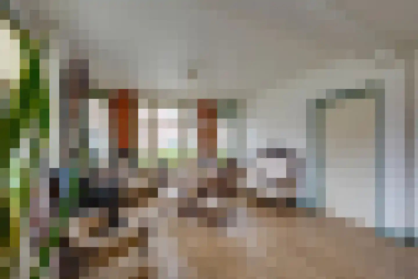 Raadhuisstraat 23 Gilze thumbnail 17