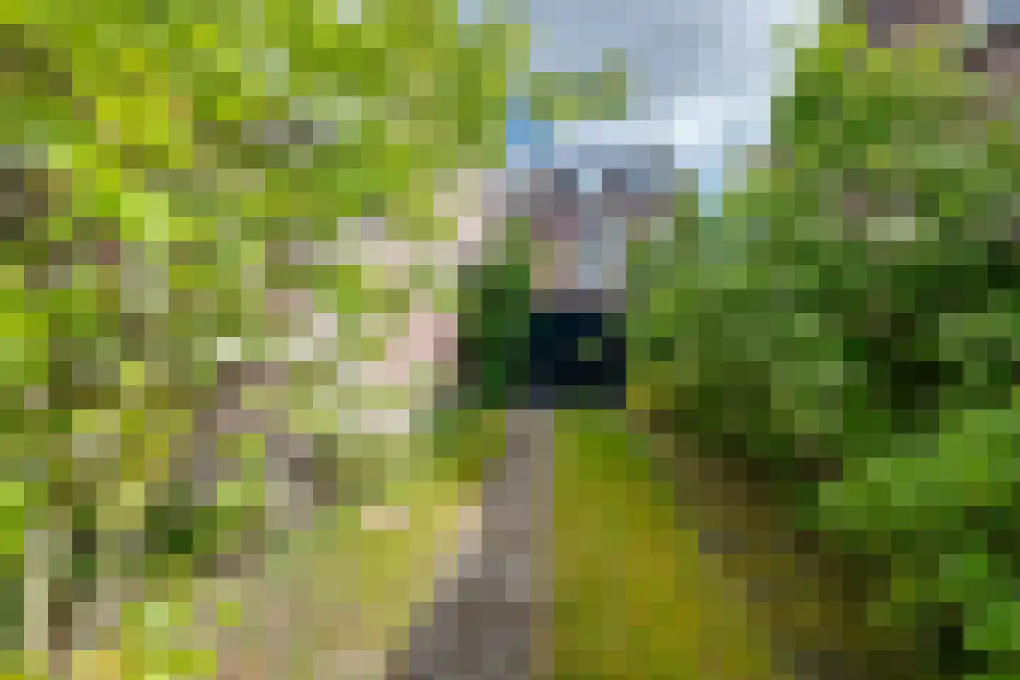 Raadhuisstraat 23 Gilze thumbnail 65