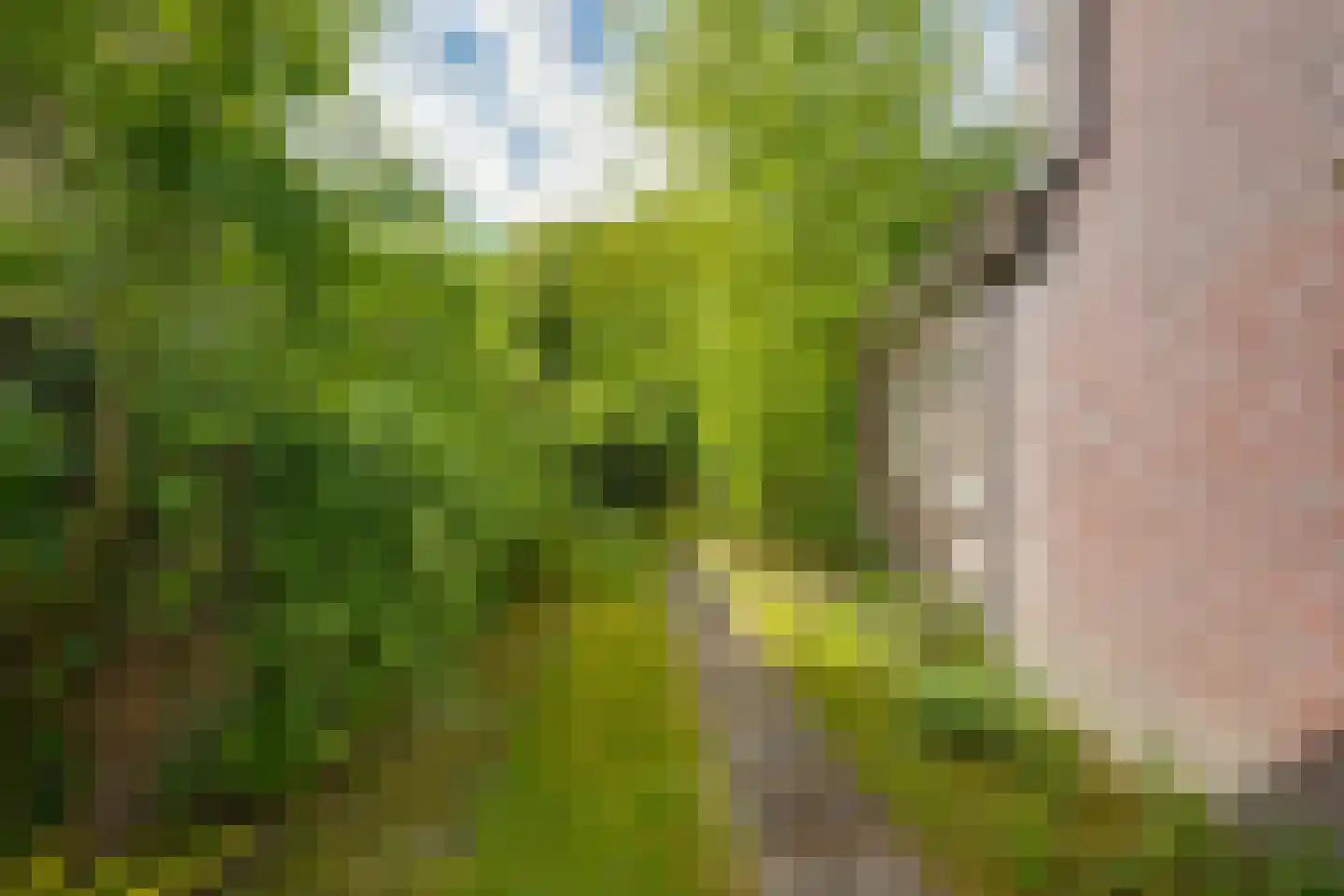 Raadhuisstraat 23 Gilze thumbnail 66