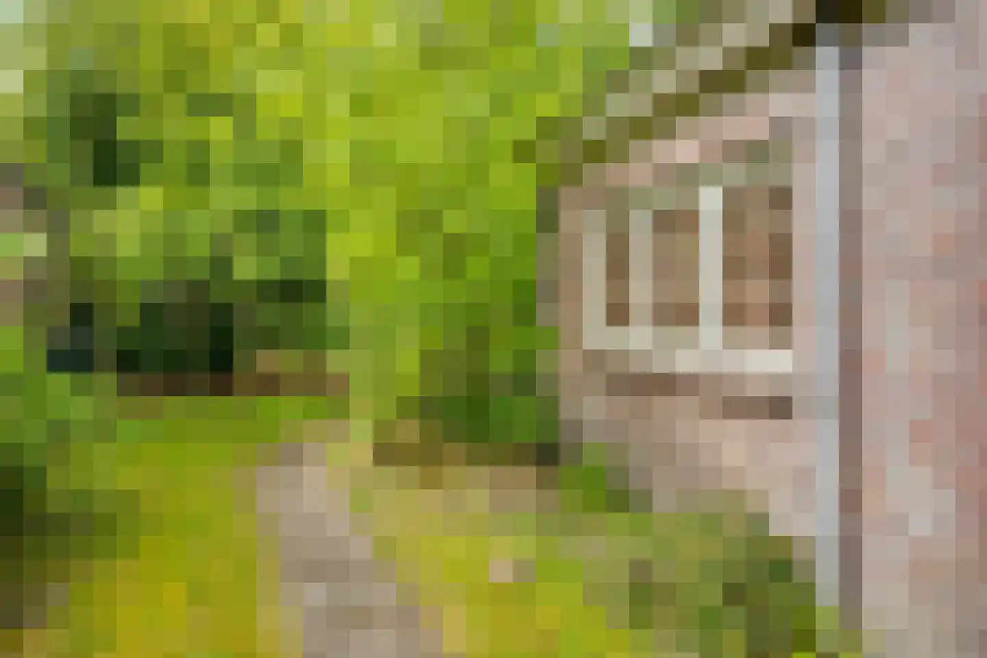 Raadhuisstraat 23 Gilze thumbnail 67