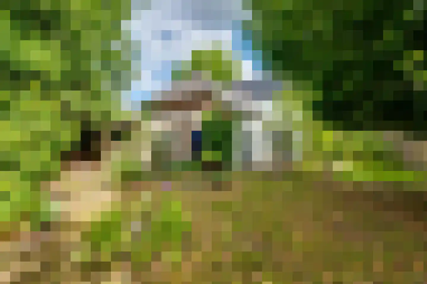 Raadhuisstraat 23 Gilze thumbnail 70
