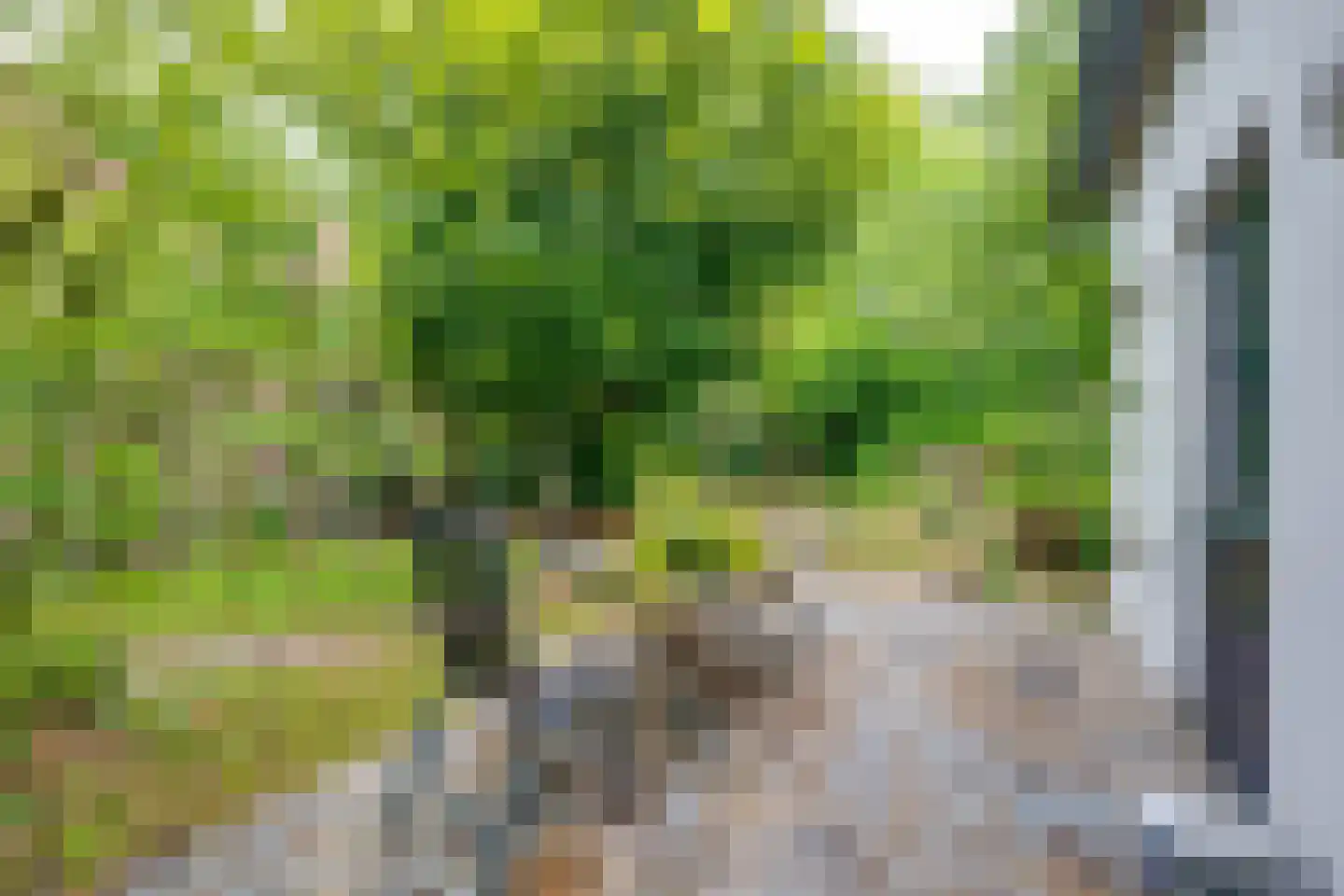 Raadhuisstraat 23 Gilze thumbnail 71
