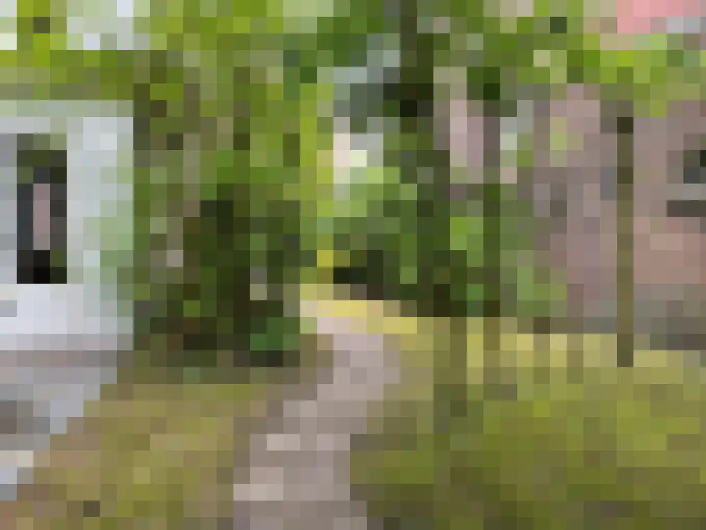 Raadhuisstraat 23 Gilze thumbnail 73