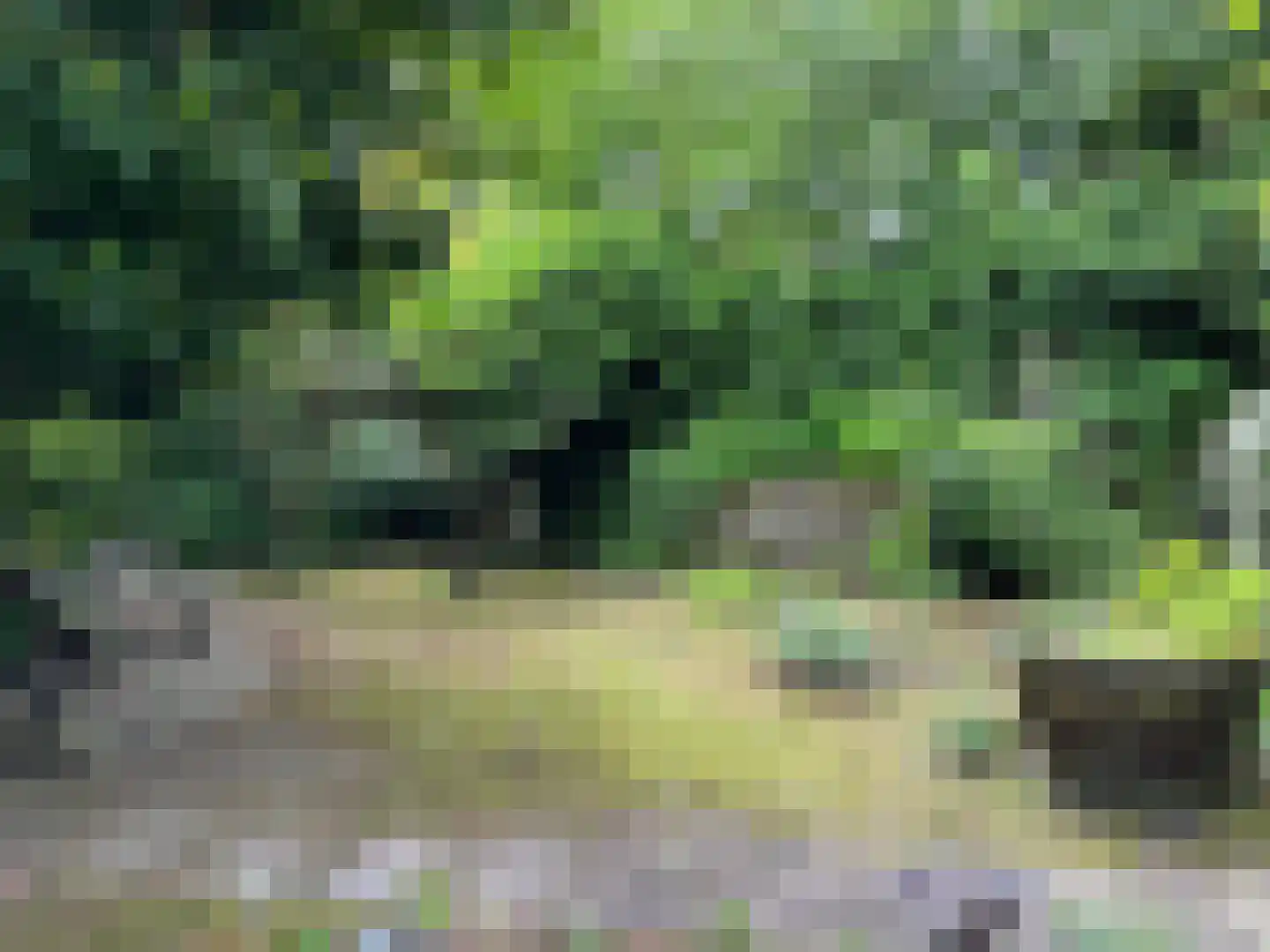 Raadhuisstraat 23 Gilze thumbnail 74