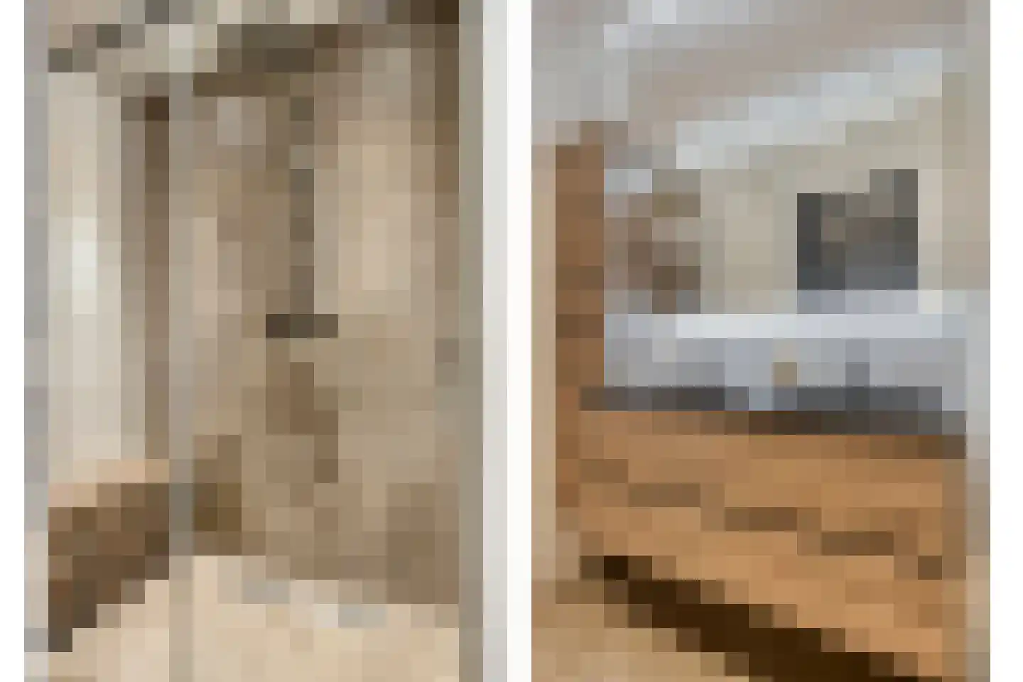 Raadhuisstraat 236 Heemskerk thumbnail 16